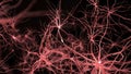 Neurone synapse network. Flight through brain. Medical and science animation.