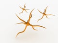 Neurone