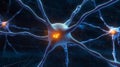Neurons in Action Exploring the Complexity of Synapses and Molecular Transmission in the Brain Royalty Free Stock Photo