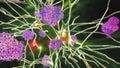 Neurons in Alzheimer's disease Royalty Free Stock Photo