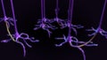 Neurons Back View