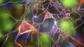 Neurons, brain cells located in Amygdala, 3D illustration