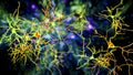 Neurons, brain cells located in Amygdala, 3D illustration