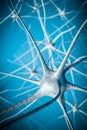 Neurons in brain, 3D illustration of neural network Royalty Free Stock Photo