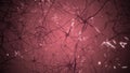 Neurons in brain. 3D looping animation of neural network