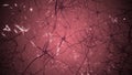 Neurons in brain. 3D looping animation of neural network