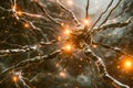 Neurons connect and transmit signals through synapses, brilliantly illuminated