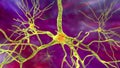 Neurons, brain cells, located in the frontal lobe of the human brain Royalty Free Stock Photo