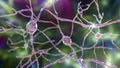 Neurons of Dorsal striatum, 3D illustration