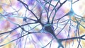 Neurons, human brain cells, 3D illustration. Human nervous system Royalty Free Stock Photo