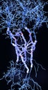 Neurons with myelin sheaths produced by oligodendrocytes Royalty Free Stock Photo