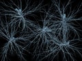 Neurons network