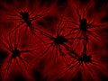 Neurons network negative red