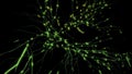 Neurons and neural connections, concept of science and medicine. Motion. Visualization og neuronal activity in the brain
