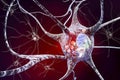 Neurons in Parkinson& x27;s disease