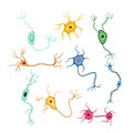 neurons set cartoon vector illustration