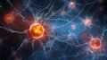 Neurons, synapses, human brain exploration and capabilities