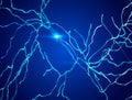 Neurons, synapses, neural network circuit of neurons, brain, degenerative diseases, Parkinson