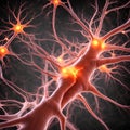 Neurons transmit brain activity by firing electrical nerve