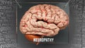 Neuropathy in human brain