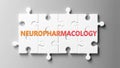 Neuropharmacology complex like a puzzle - pictured as word Neuropharmacology on a puzzle to show that it can be difficult and