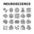 neuroscience brain neurology icons set vector