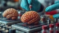 Neuroscience Breakthrough: microchip sparks possibilities for cognitive upgrades