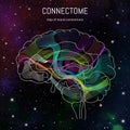 Neuroscience infographic on space background. Brain cells connectome concept.Neural network, neurons forming a complex map for