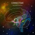 Neuroscience infographic on space background. Brain cells connectome concept.Neural network, neurons forming a complex map for