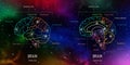 Neuroscience infographic on space background. Human brain lobes and sections illustration. Brain anatomy structure cross section.