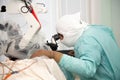 A neurosurgeon doctor looks into a microscope during an operation. Neurosurgery and microsurgery.