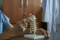 A neurosurgeon pointing at cervical spine model Royalty Free Stock Photo