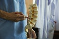 A neurosurgeon pointing at lumbar vertebra model in medical off