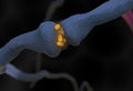 Neurotransmitter synapse and neuron cells sending electrical signals 3d illustration