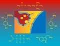 Neurotransmitters