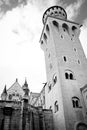 Neuschwanstein Castle in Baviera, Germany Royalty Free Stock Photo