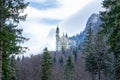 Neuschwanstein castle in beautiful frozen winter landscape with pine trees Royalty Free Stock Photo