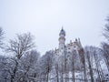 Neuschwanstein Castle in winter landscape. Germany Royalty Free Stock Photo