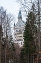 Neuschwanstein castle in winter, view from the forest on the mountain in front of the castle