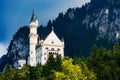 Neuschwanstein Castle(New Swanstone Castle)