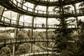 NeuschÃÂ¶nau, Austria - June 22, 2018 - Treetop Walk in Bavarian forest, monochrome image