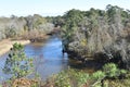 Neuse River Overlook at Cliffs of the Neuse State Park