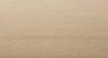 Neutral Canvas Texture Background, Soft Beige Fabric Detail Royalty Free Stock Photo