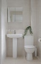 Neutral colour style home interior bathroom and green plant