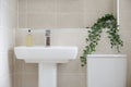 Neutral colour style home interior bathroom and green plant