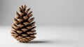 Neutral gray background. The cone is upright, displaying its Royalty Free Stock Photo