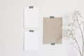 Neutral mood board. Set of blank paper greeting card mockups taped on white wall. Striped washi tape and dry lunaria