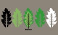 Vector illustration set lobate leaves Royalty Free Stock Photo