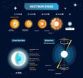 Neutron stars vector illustration. Educational labeled scheme with massive star stages to explosion. Cross section with structure.