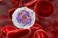 Neutrophil in blood, a white blood cell